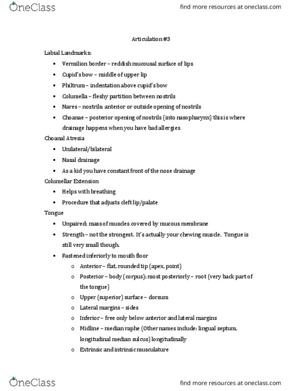 CDIS 4213 Lecture Notes - Lecture 14: Atresia, Mandibular Symphysis, Ankyloglossia thumbnail