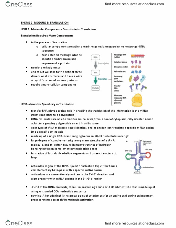 BIOLOGY 1A03 Lecture Notes - Lecture 4: Methionine, Conformational Change, Genetic Screen thumbnail