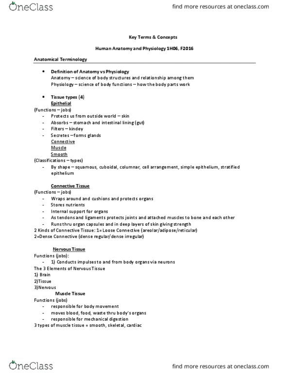 HTHSCI 1H06 Lecture Notes - Lecture 1: Periosteum, Preganglionic Nerve Fibers, Epidermis thumbnail