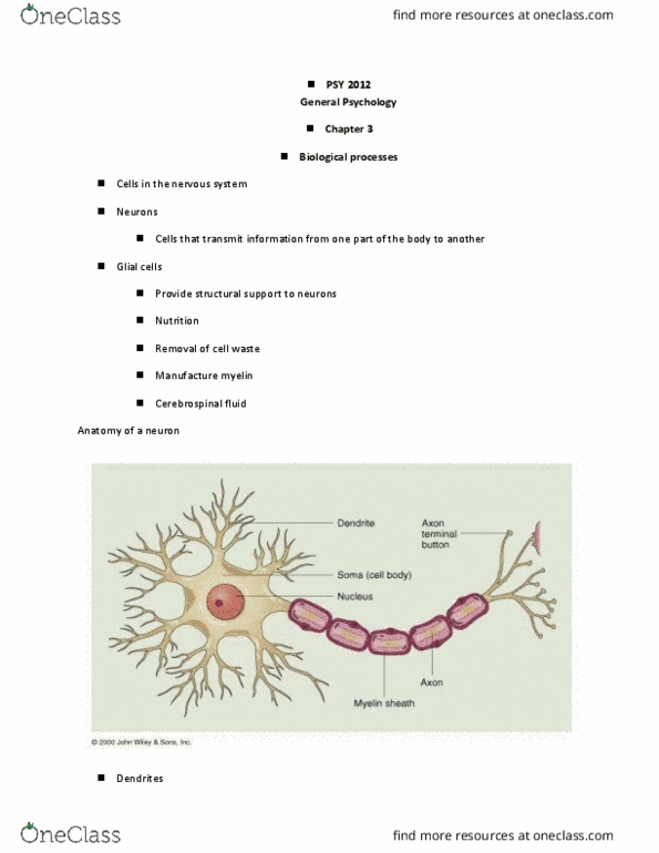 PSY-2012 Chapter Notes - Chapter ch 3 : Basic Life Support, Axon Terminal, Peripheral Nervous System thumbnail