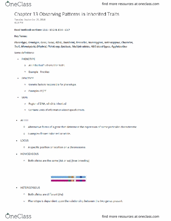 BSC 1005 Lecture Notes - Lecture 23: Chin, Gregor Mendel, Abo Blood Group System thumbnail