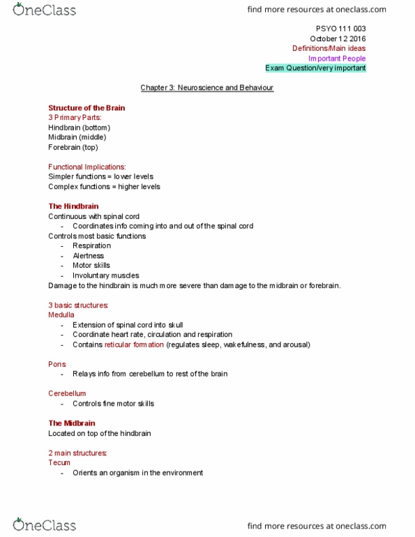 PSYO 111 Lecture Notes - Lecture 8: Cerebral Hemisphere, Hindbrain, Reticular Formation thumbnail