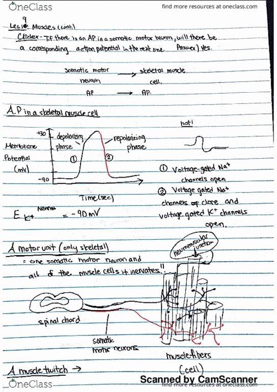 BIO SCI E109 Lecture 9: e109 lecture 9 thumbnail