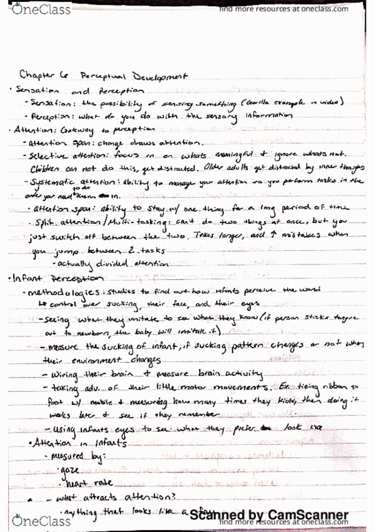 PSY 364 Lecture 10: chapter 6 perceptual development part 1 thumbnail