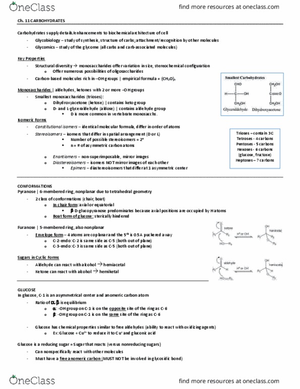 BCM 475 Chapter Notes - Chapter 11: Anomer, Glycated Hemoglobin, Glycosidic Bond thumbnail