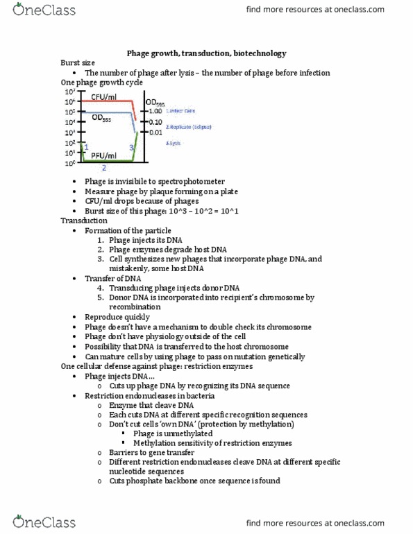 BSCI 223 Lecture Notes - Lecture 16: Restriction Enzyme, Bacteriophage, Spectrophotometry thumbnail