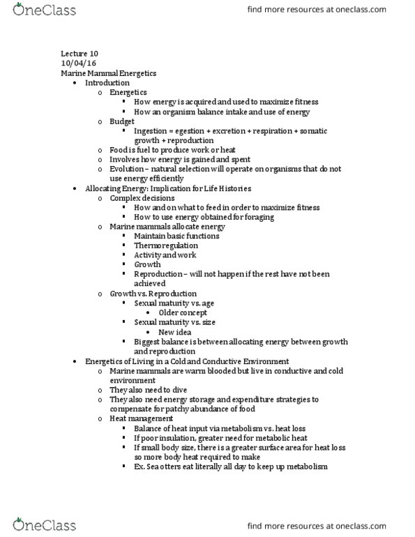 MSC 350 Lecture Notes - Lecture 10: Marine Mammal, Basal Metabolic Rate, Diocletian Window thumbnail