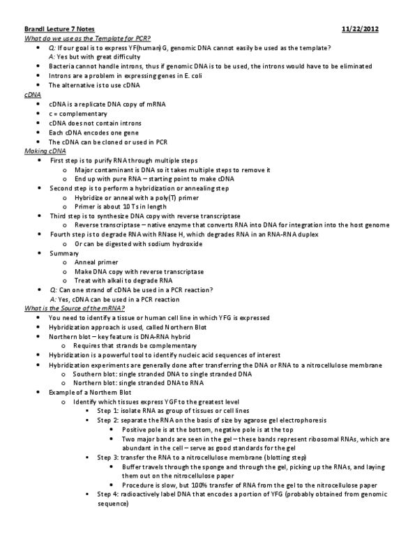 Biochemistry 2280A Lecture Notes - Ribonuclease H, Ecori, Sticky And Blunt Ends thumbnail