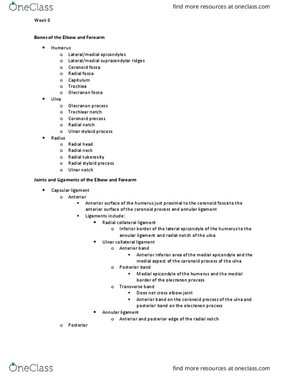 KIN 3304 Lecture Notes - Lecture 16: Ulnar Collateral Ligament Of Elbow Joint, Ulnar Styloid Process, Coronoid Fossa Of The Humerus thumbnail