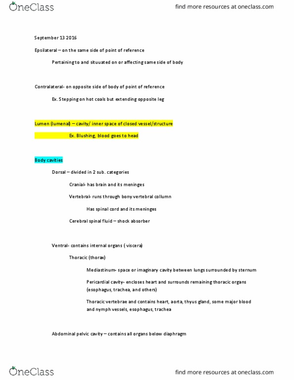 BIOL 207 Lecture Notes - Lecture 3: Lumbar Vertebrae, Cerebrospinal Fluid, Thoracic Vertebrae thumbnail