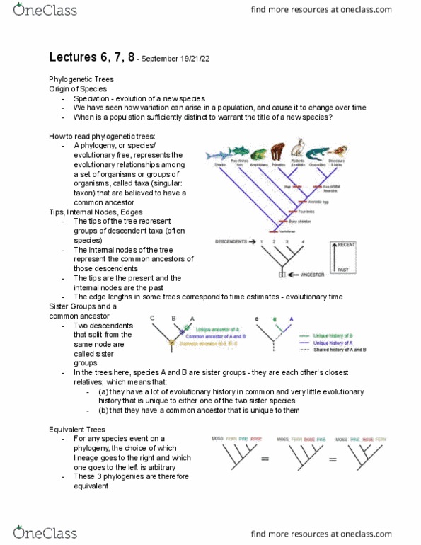 ANTHROP 2D03 Lecture Notes - Lecture 6: Computational Phylogenetics, Binary Tree, Speciation thumbnail