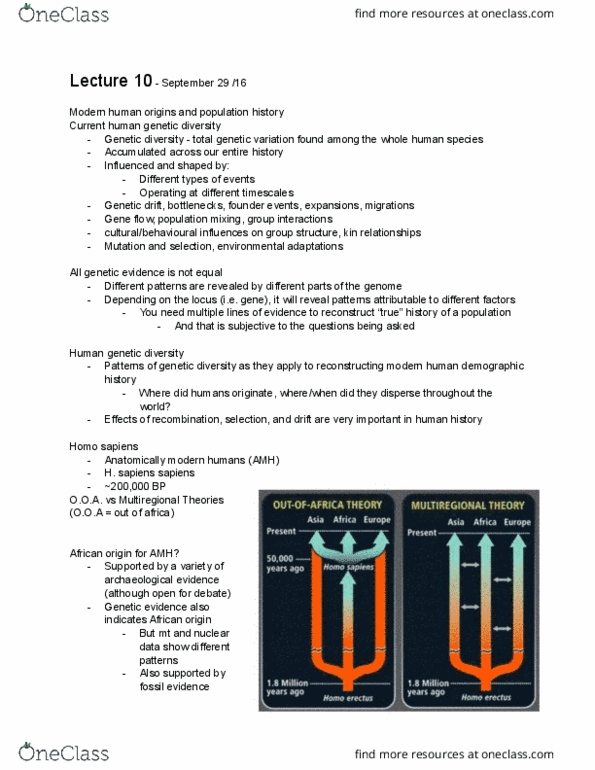 ANTHROP 2D03 Lecture Notes - Lecture 10: Human Taxonomy, Effective Population Size, Anatomically Modern Human thumbnail