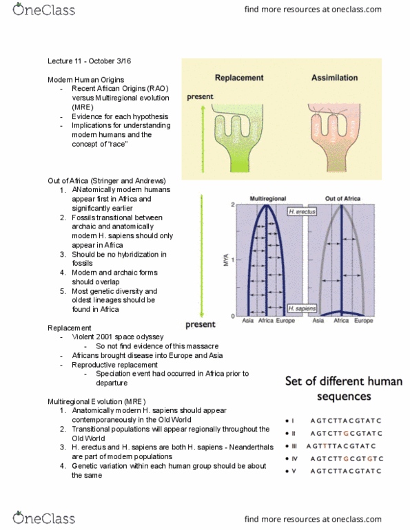 ANTHROP 2D03 Lecture Notes - Lecture 11: Human Taxonomy, Mitochondrial Eve, Coalescent Theory thumbnail