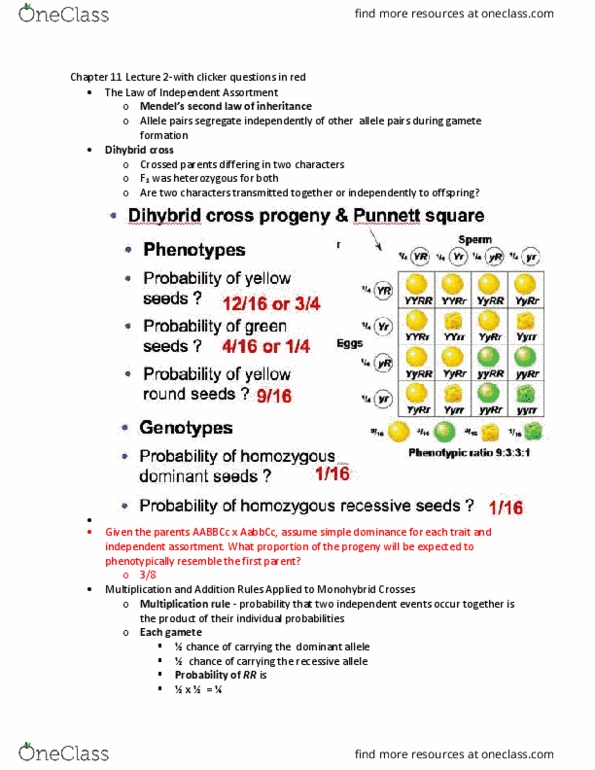 LIFE 120 Lecture Notes - Lecture 20: Dihybrid Cross, Zygosity, Phenotype thumbnail