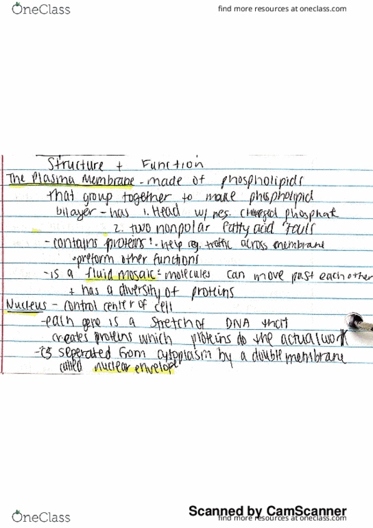 BSC1005C Lecture 9: Chapter 4- Day 2 thumbnail