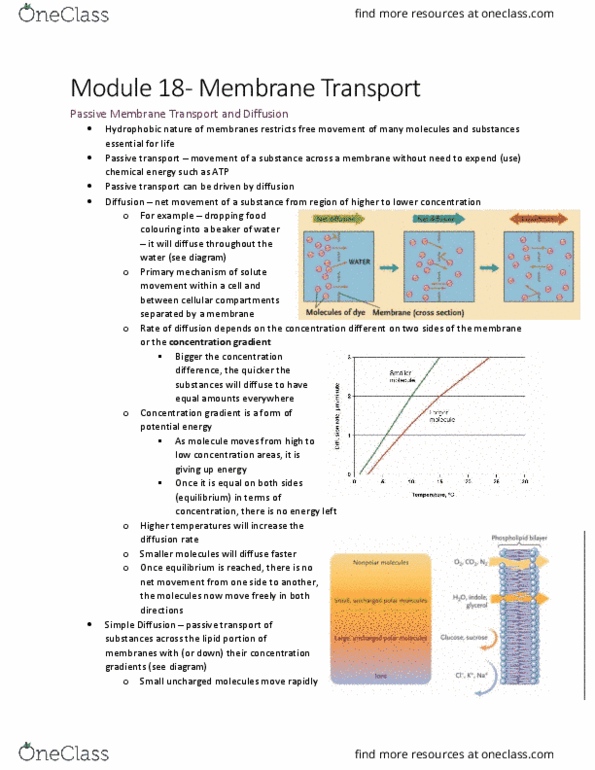 BI110 Lecture 16: Module 18 - Membrane Transport thumbnail