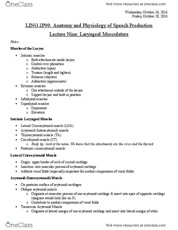 LING 2P90 Lecture Notes - Lecture 13: Posterior Cricoarytenoid Muscle, Infrahyoid Muscles, Cricothyroid Muscle thumbnail