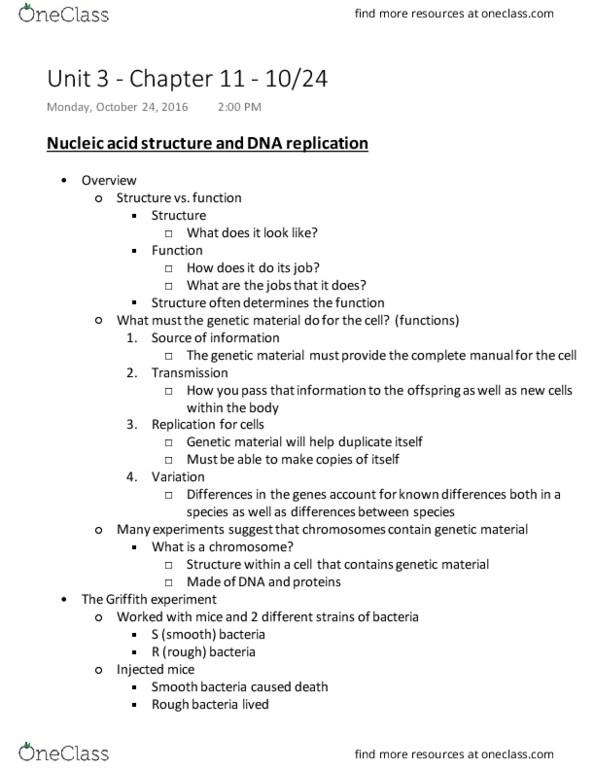 BIOL 2051 Lecture Notes - Lecture 10: Nucleic Acid Double Helix, Dna Replication, Cell Nucleus thumbnail