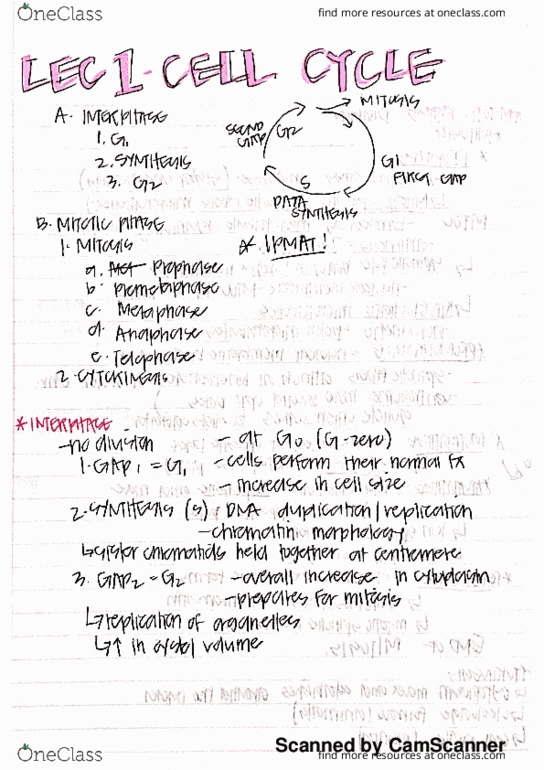 BIO 122 Lecture 1: Lecture 1 Cell Cycle thumbnail