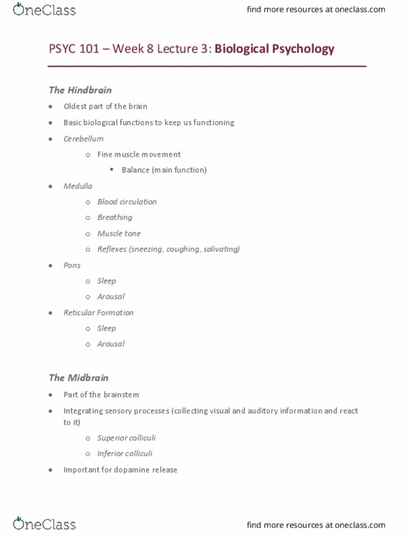 PSYC 101 Lecture Notes - Lecture 20: Substantia Nigra, Hindbrain, Midbrain thumbnail