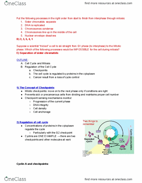 EBIO 1210 Lecture Notes - Lecture 10: Sister Chromatids, Dysplasia, Cyclin A thumbnail