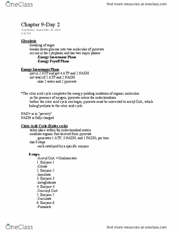 LIFE 102 Lecture Notes - Lecture 14: Citric Acid Cycle, Succinyl-Coa, Acetyl-Coa thumbnail