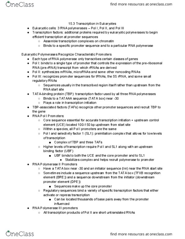 LIFESCI 3 Chapter Notes - Chapter 15.3: Rna Polymerase Iii, Rna Polymerase Ii, Tata Box thumbnail