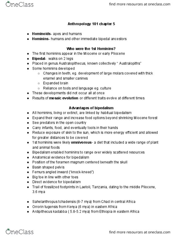 ANTH 101 Lecture Notes - Lecture 5: Foramen Magnum, Sahelanthropus, Australopithecus Garhi thumbnail