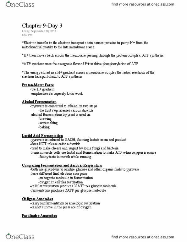 LIFE 102 Lecture Notes - Lecture 15: Facultative Anaerobic Organism, Anaerobic Respiration, Atp Synthase thumbnail