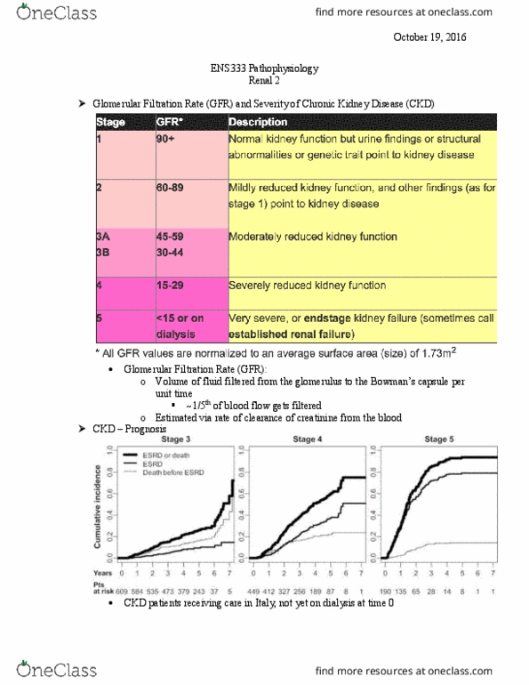 ENS 333 Lecture Notes - Lecture 9: Renal Function, Hemofiltration, Calcitriol thumbnail