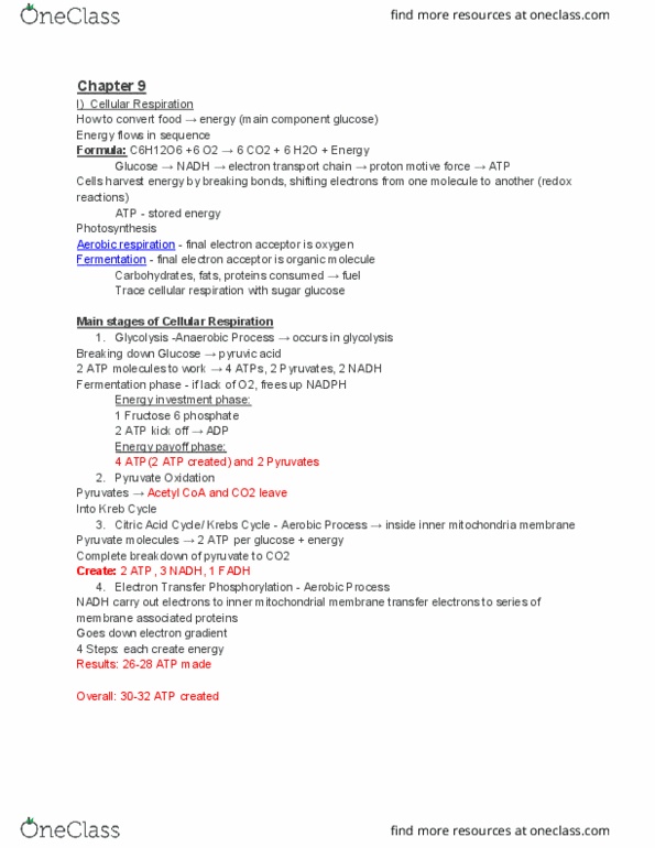 BIO 122 Chapter Notes - Chapter 9: Cellular Respiration, Pyruvic Acid, Glycolysis thumbnail