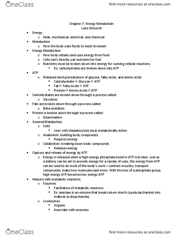 HUN-1201 Lecture Notes - Lecture 30: Hepatocyte, Deamination, Maltose thumbnail