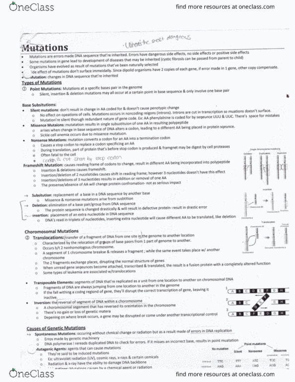 BIOL 1000 Chapter Notes - Chapter 14: Mutation, Base Pair, Peptide thumbnail