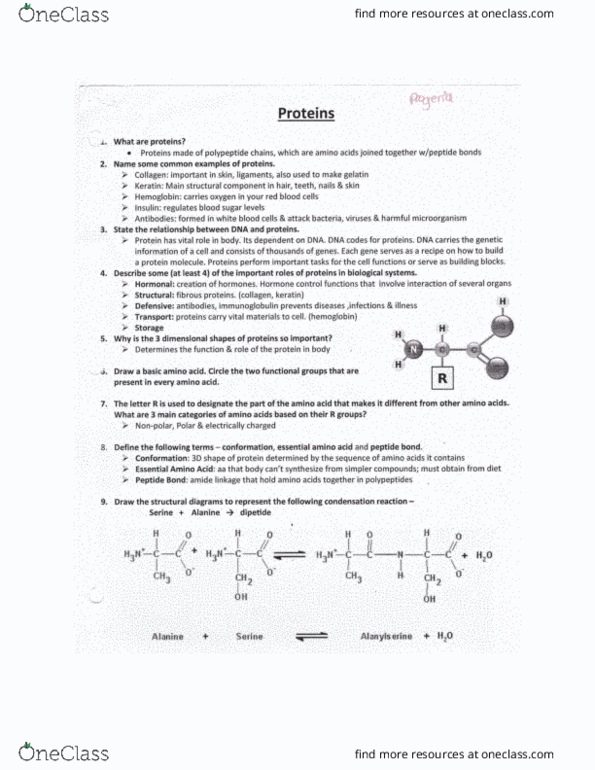 BIOL 1000 Chapter Notes - Chapter 2: Essential Amino Acid, Prope, Peptide thumbnail