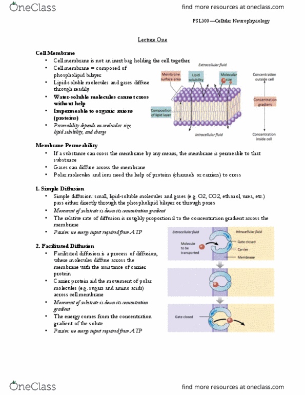 PSL300H1 Lecture Notes - Lecture 1: Active Transport, Lipid Bilayer, Membrane Transport Protein thumbnail