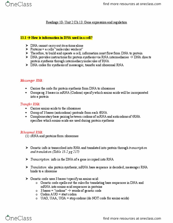 BIOLOGY 1P03 Chapter Notes - Chapter 13: Ribosomal Rna, Precursor Mrna, Gene Expression thumbnail