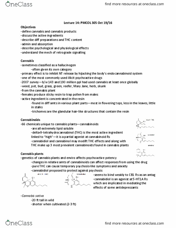 PMCOL305 Lecture Notes - Lecture 14: Cannabis Indica, Cannabis Sativa, Cannabis Ruderalis thumbnail