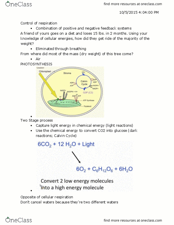 BIOL 1201 Lecture Notes - Lecture 3: Light-Independent Reactions, Cyclic Adenosine Monophosphate, Dna Replication thumbnail