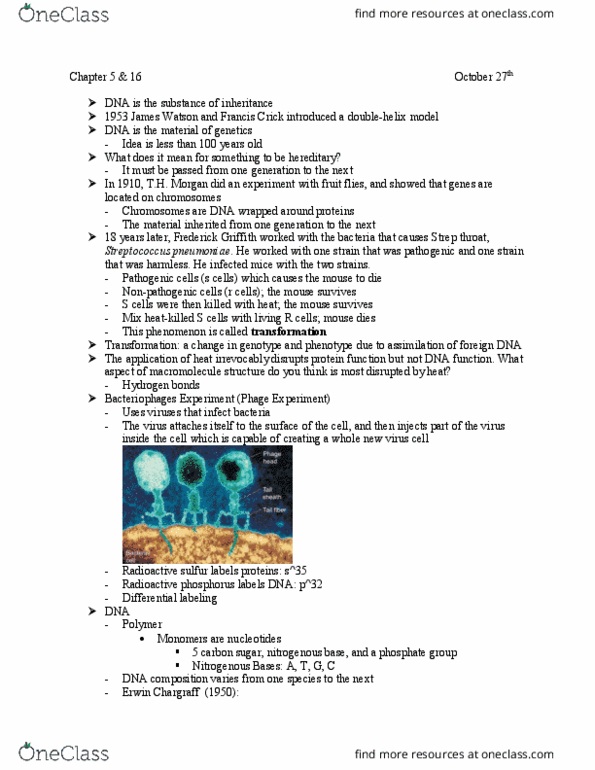 BSC-2010 Lecture Notes - Lecture 1: Streptococcal Pharyngitis, Frederick Griffith, Francis Crick thumbnail