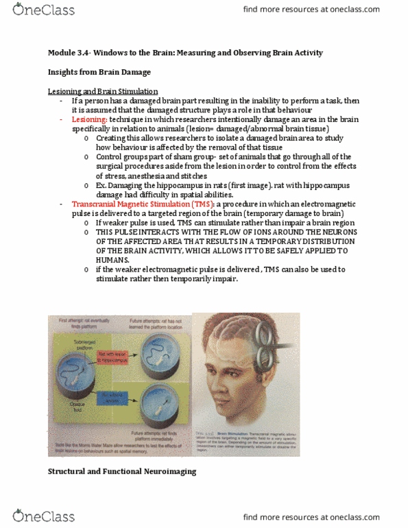 PSYA01H3 Chapter Notes - Chapter 3.4: Transcranial Magnetic Stimulation, Diffusion Mri, Ct Scan thumbnail