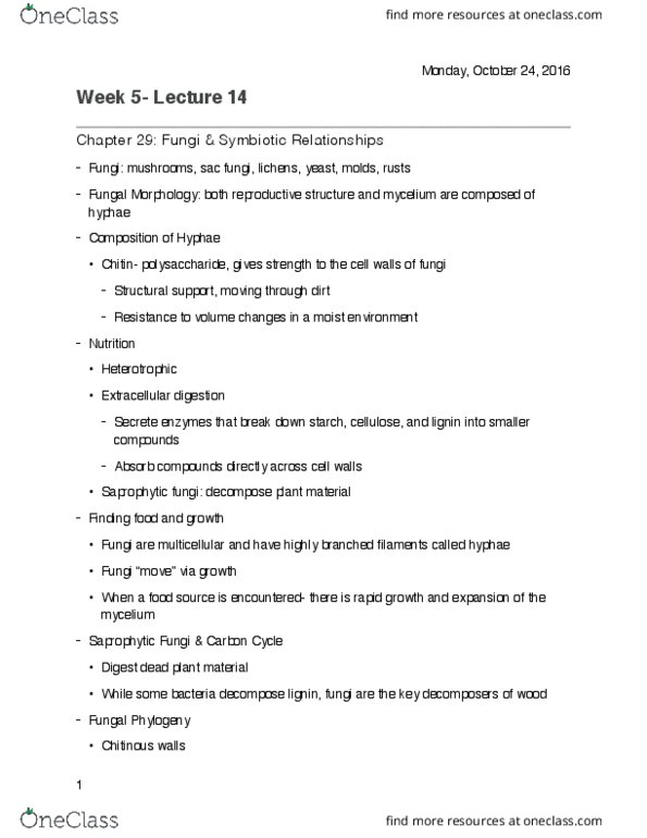 LIFESCI 1 Lecture Notes - Lecture 14: Saprotrophic Nutrition, Zygomycota, Mycelium thumbnail