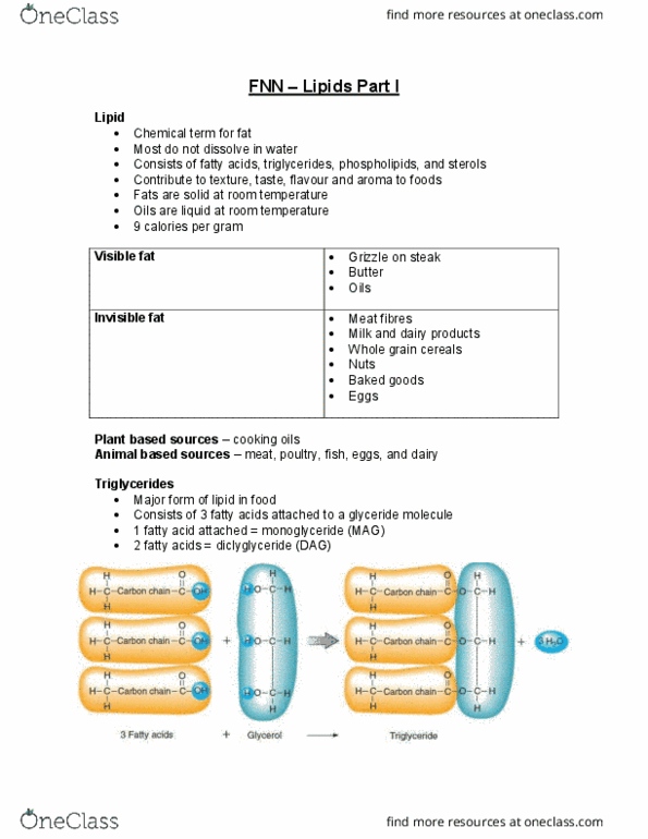 FNN 100 Lecture Notes - Lecture 9: Glyceride, Monoglyceride, Triglyceride thumbnail