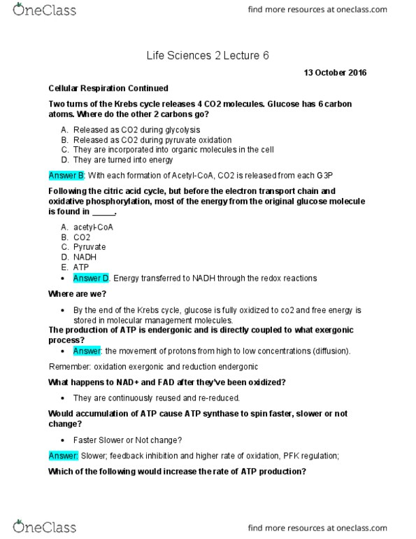 LIFESCI 2 Lecture Notes - Lecture 6: Citric Acid Cycle, Atp Synthase, Oxidative Phosphorylation thumbnail