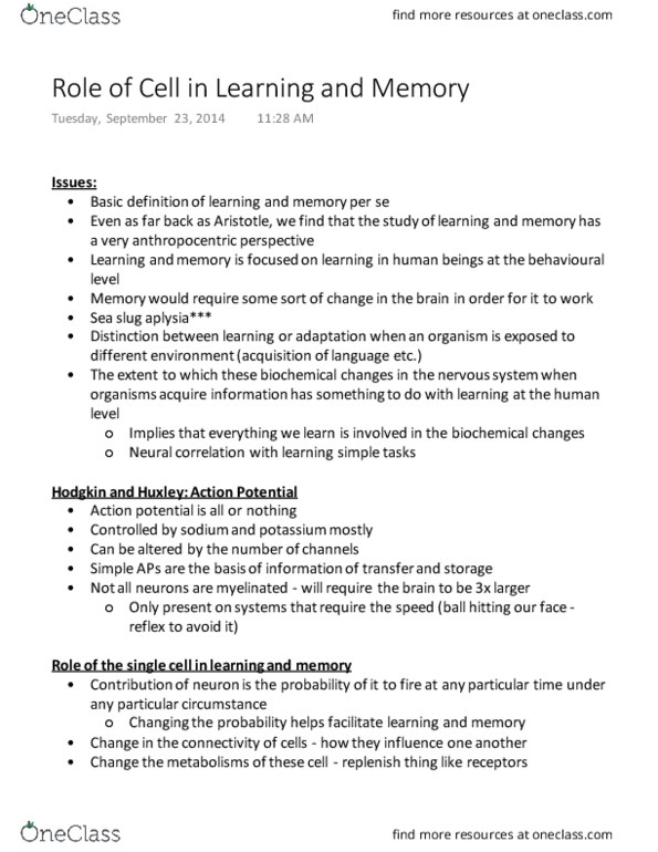 PSY260H1 Lecture Notes - Lecture 3: Chemical Synapse, Electrical Synapse, Sea Slug thumbnail