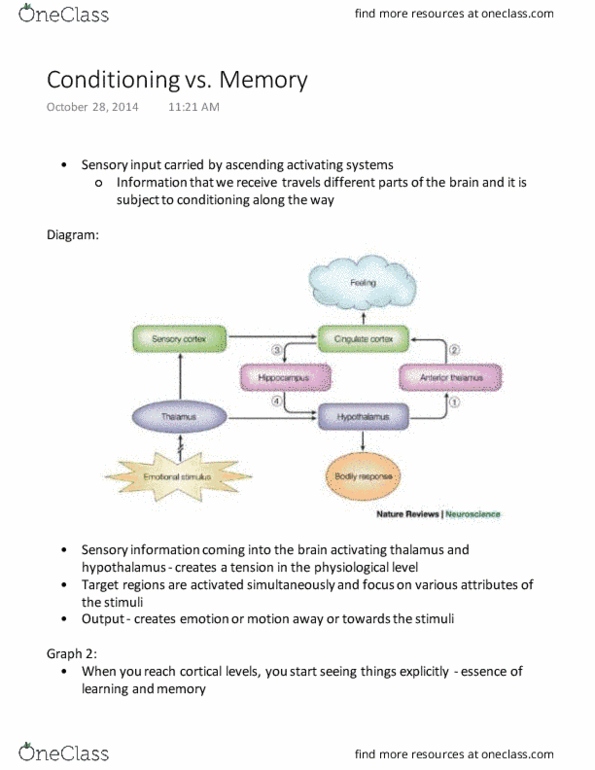 PSY260H1 Lecture Notes - Lecture 8: Baddeley'S Model Of Working Memory, Long-Term Memory, Papez Circuit thumbnail