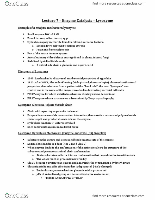 Biochemistry 2280A Lecture Notes - Lecture 7: Enzyme, Covalent Bond, Cyclohexane Conformation thumbnail