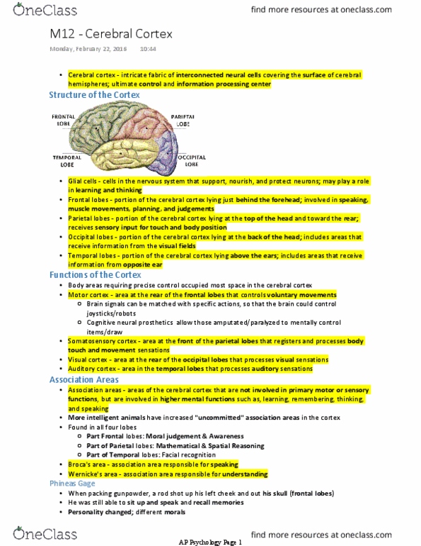 PSYCH 1XX3 Lecture 8: M12 - Cerebral Cortex thumbnail