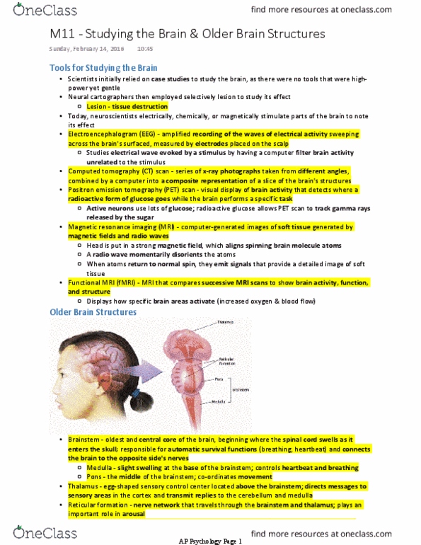 PSYCH 1XX3 Lecture 9: M11 - Studying the Brain & Older Brain Structures thumbnail