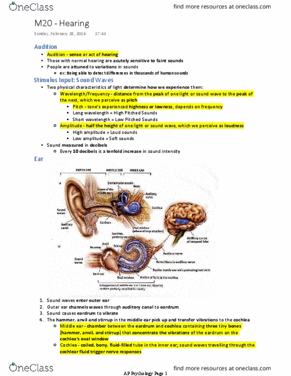 PSYCH 1XX3 Lecture 9: M20 - Hearing thumbnail