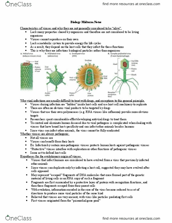 Biology 1001A Lecture Notes - Lecture 10: G1 Phase, Orthomyxoviridae, Reverse Transcriptase thumbnail